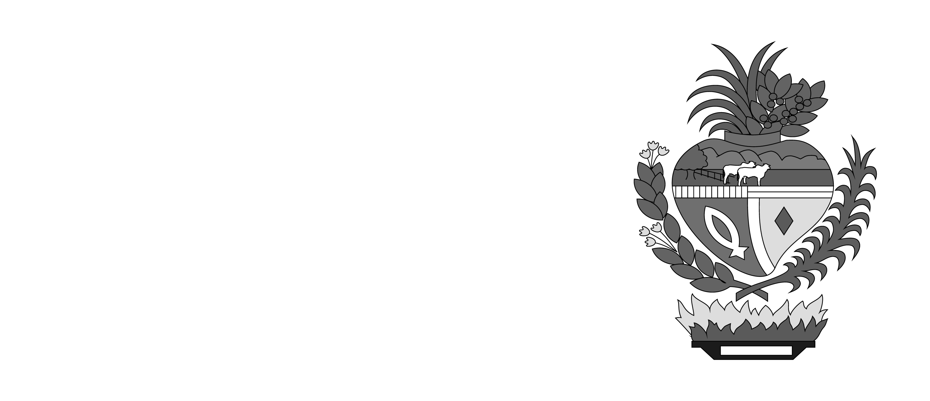 Logo SES Goiás